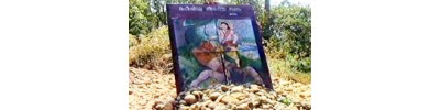 சபரி மலைக்குச் செல்லும் வழியில் உள்ள திருத்தலங்கள்